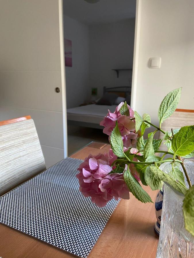 Duje & Roko Apartments Šibenik Eksteriør bilde