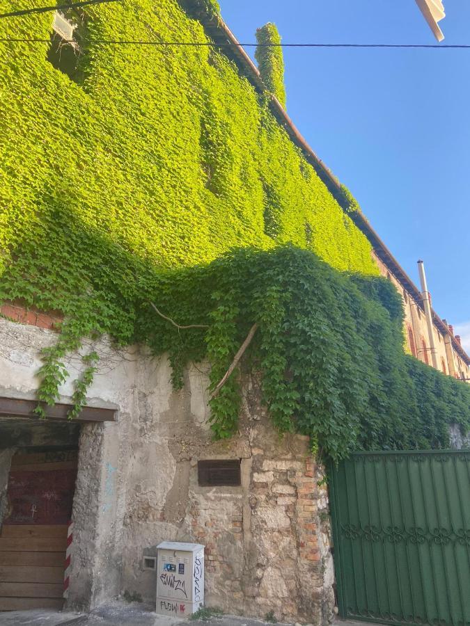 Duje & Roko Apartments Šibenik Eksteriør bilde